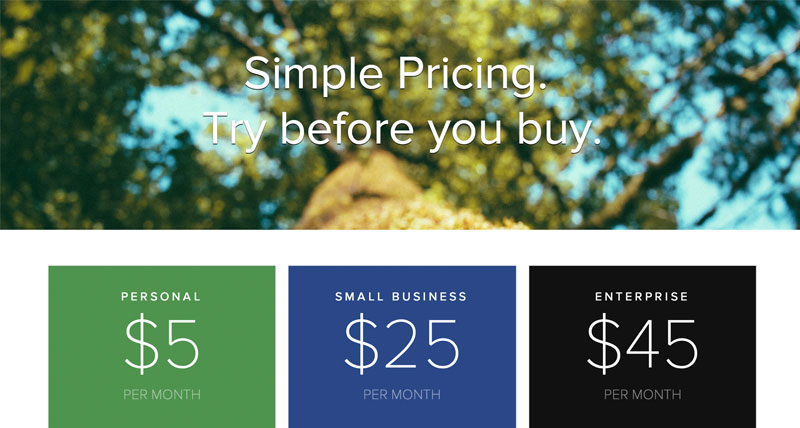 Screenshot of Pricing Table example layout.